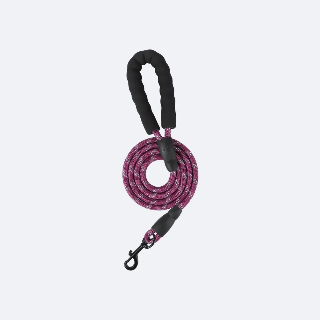 gentle lead for dogs