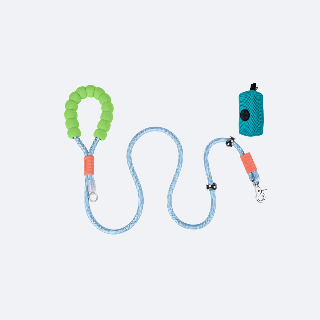 Heavy Duty Dog Leash