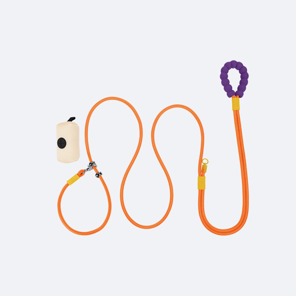 Waterproof Dog Leash