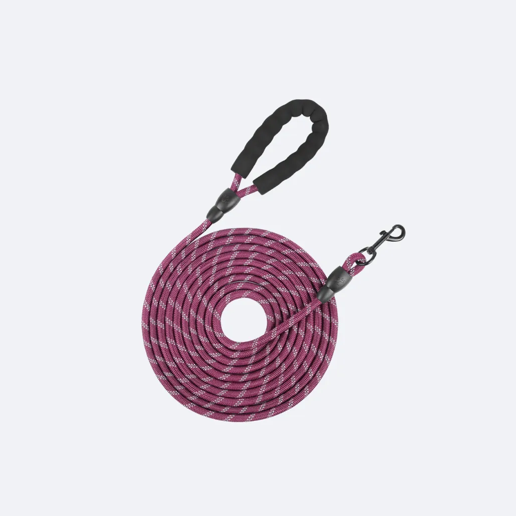 long dog leash