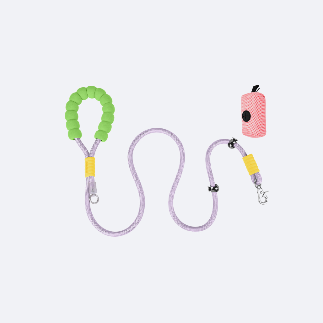 Heavy Duty Dog Leash