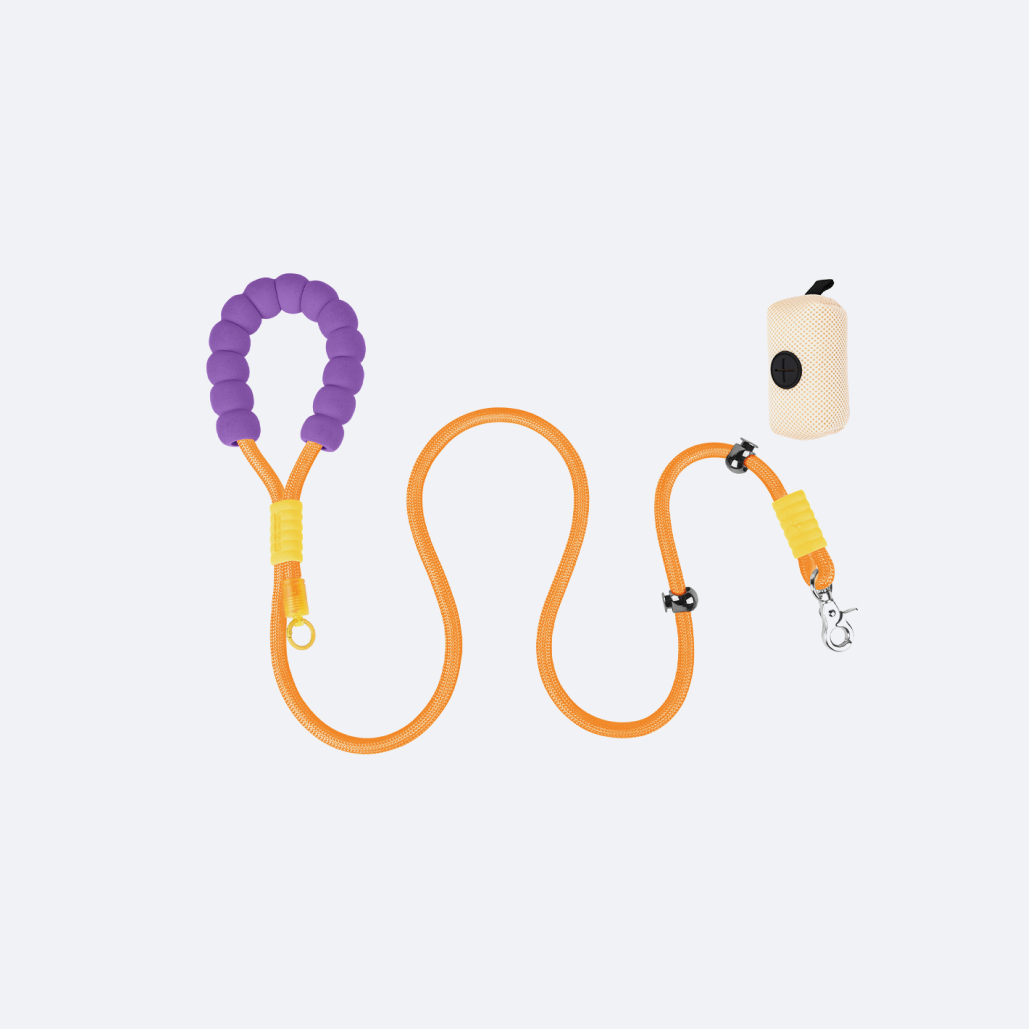 Heavy Duty Dog Leash