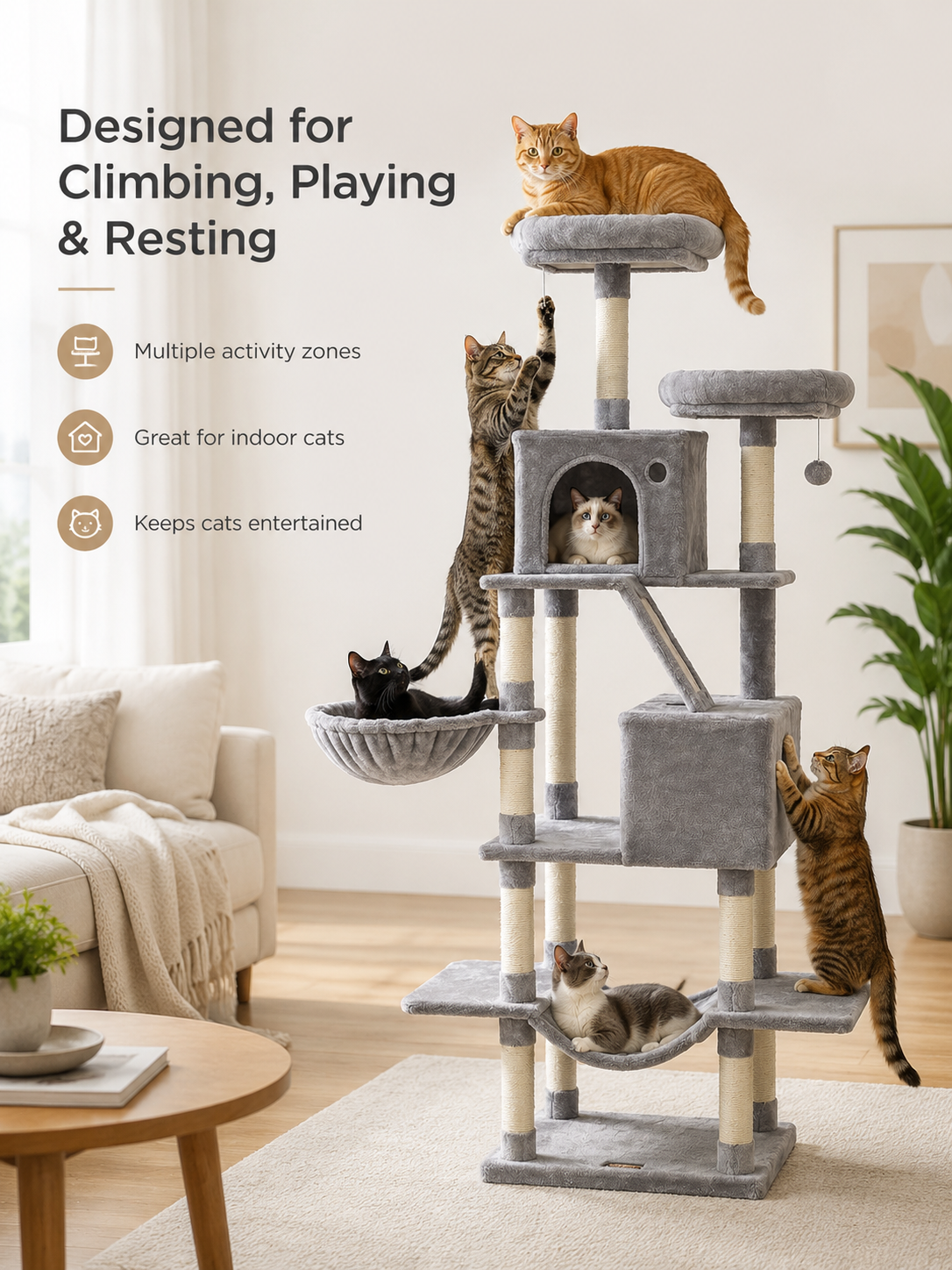 Why Cats Need Scratching Posts -- Your Sofa Will Thank You